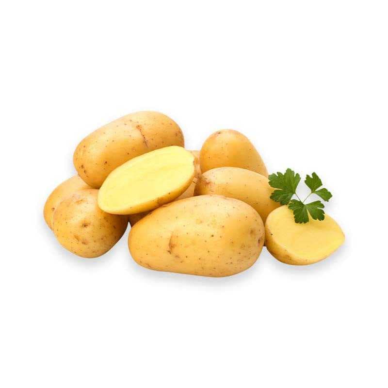 بطاطس إكوادورية حمراء